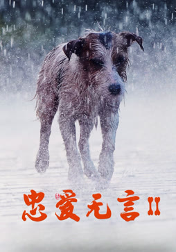 忠爱无言2