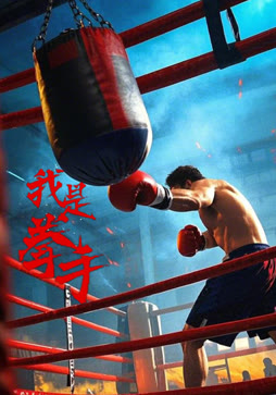 我是拳手