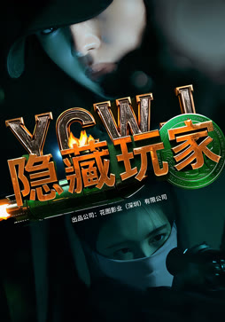 隐藏玩家