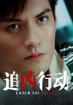 追凶行动